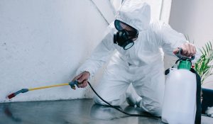 Safe and Effective Use of pesticide control service in the Home and Gardens