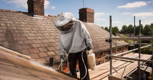 Wasp Control London: Effective Solutions for Your Pest Problem